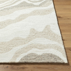 Divine DVN-2301 9' x 12' Handmade Rug DVN2301-912  Light Silver, Ash, Metallic - Silver, Sage Surya