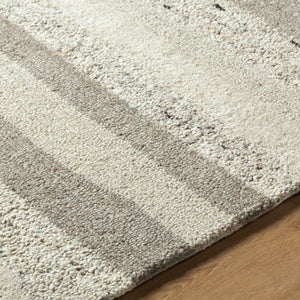 Divine DVN-2302 9' x 12' Handmade Rug DVN2302-912  Slate, Ash, Metallic - Silver, Sage Surya