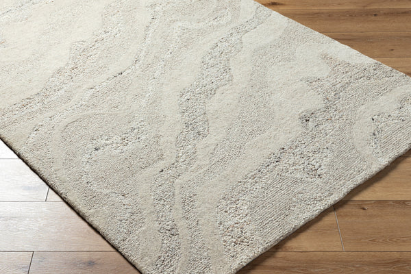 Divine DVN-2303 9' x 12' Handmade Rug DVN2303-912  Ash, Metallic - Silver Surya