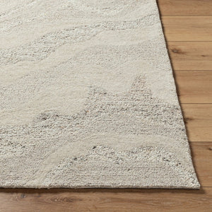 Livabliss Divine Handmade Wool Area Rug Artisan Tufted for Living Room Dining or Bedroom Ivory, Sandston 9' x 12' DVN2303-912