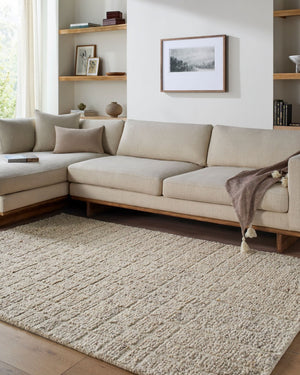 Livabliss Divine Hand Tufted Wool Area Rug Bohemian Global Pattern for Living Room Bedroom Ivory, Taupe 10' x 14' DVN2304-1014