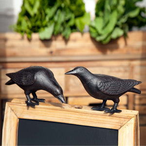 Cast Iron Crows, Set of 2 EAB82066 Park Hill