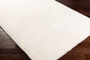 Livabliss Deluxe Plush High Shag Polypropylene Area Rug for Living Room or Bedroom Decor DXS2300-679