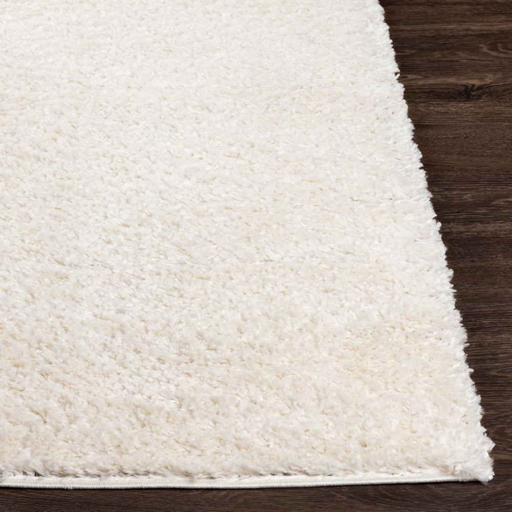 Livabliss Deluxe Plush High Shag Polypropylene Area Rug for Living Room or Bedroom Decor DXS2300-679