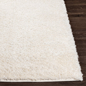 Livabliss Deluxe Plush High Shag Polypropylene Area Rug for Living Room or Bedroom Decor DXS2300-679