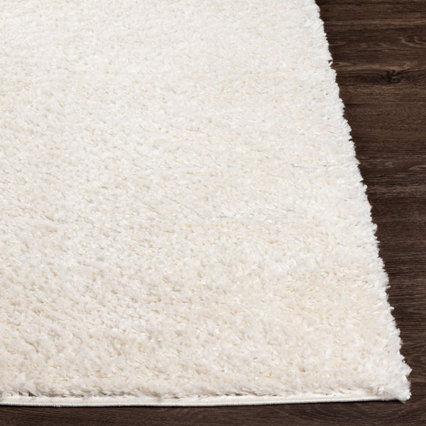 Livabliss Deluxe Plush High Shag Polypropylene Area Rug for Living Room or Bedroom Decor DXS2300-679