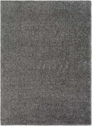 Deluxe Shag DXS-2303 6'7" x 9' Machine Woven Rug DXS2303-679 Livabliss Surya