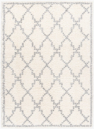 Livabliss Deluxe Shag Plush Polypropylene Area Rug for Cozy Living Room or Bedroom Floors White, Medium G 6'7" x 9' DXS2305-6796
