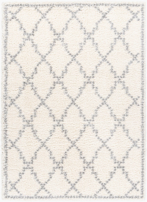 Livabliss Deluxe Shag Plush Polypropylene Area Rug for Cozy Living Room or Bedroom Floors White, Medium G 6'7" x 9' DXS2305-6796