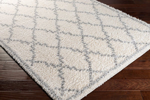 Livabliss Deluxe Shag Plush Polypropylene Area Rug for Cozy Living Room or Bedroom Floors White, Medium G 6'7" x 9' DXS2305-6796