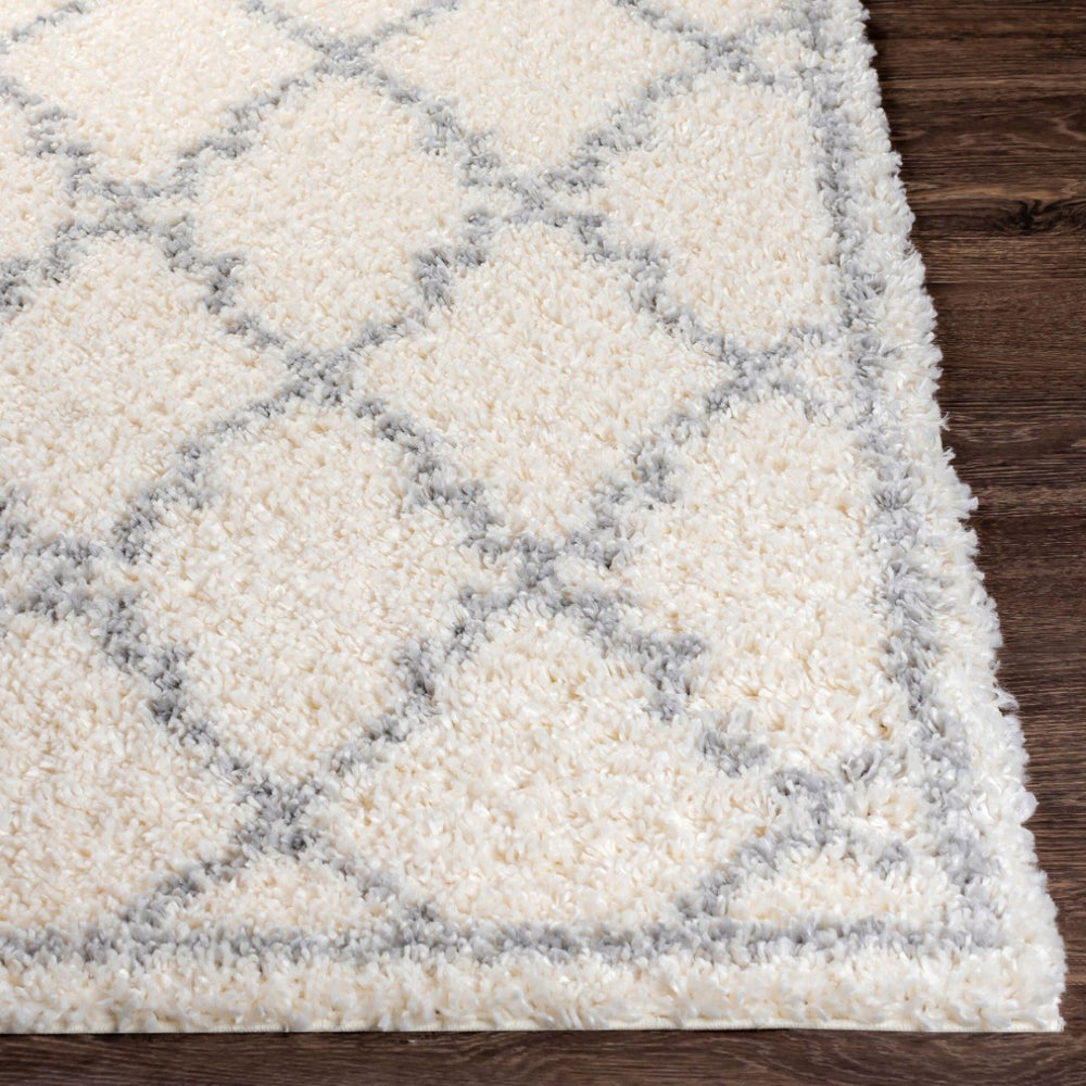 Livabliss Deluxe Shag Plush Polypropylene Area Rug for Cozy Living Room or Bedroom Floors White, Medium G 6'7" x 9' DXS2305-6796