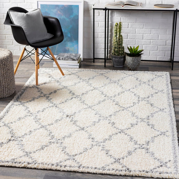 Livabliss Deluxe Shag Plush Polypropylene Area Rug for Cozy Living Room or Bedroom Floors White, Medium G 6'7" x 9' DXS2305-6796