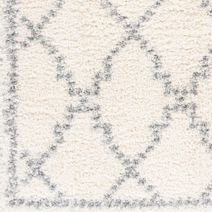 Livabliss Deluxe Shag Plush Polypropylene Area Rug for Cozy Living Room or Bedroom Floors White, Medium G 6'7" x 9' DXS2305-6796