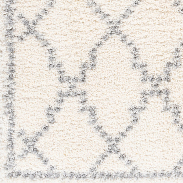 Livabliss Deluxe Shag Plush Polypropylene Area Rug for Cozy Living Room or Bedroom Floors White, Medium G 6'7" x 9' DXS2305-6796