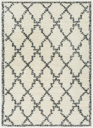 Livabliss Deluxe Shag Plush High-pile Polypropylene Accent Rug for Cozy Cottage Interiors DXS2306-23