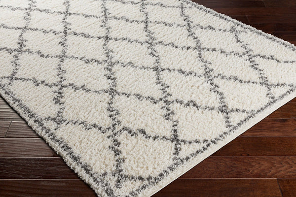 Livabliss Deluxe Shag Plush High-pile Polypropylene Accent Rug for Cozy Cottage Interiors DXS2306-23