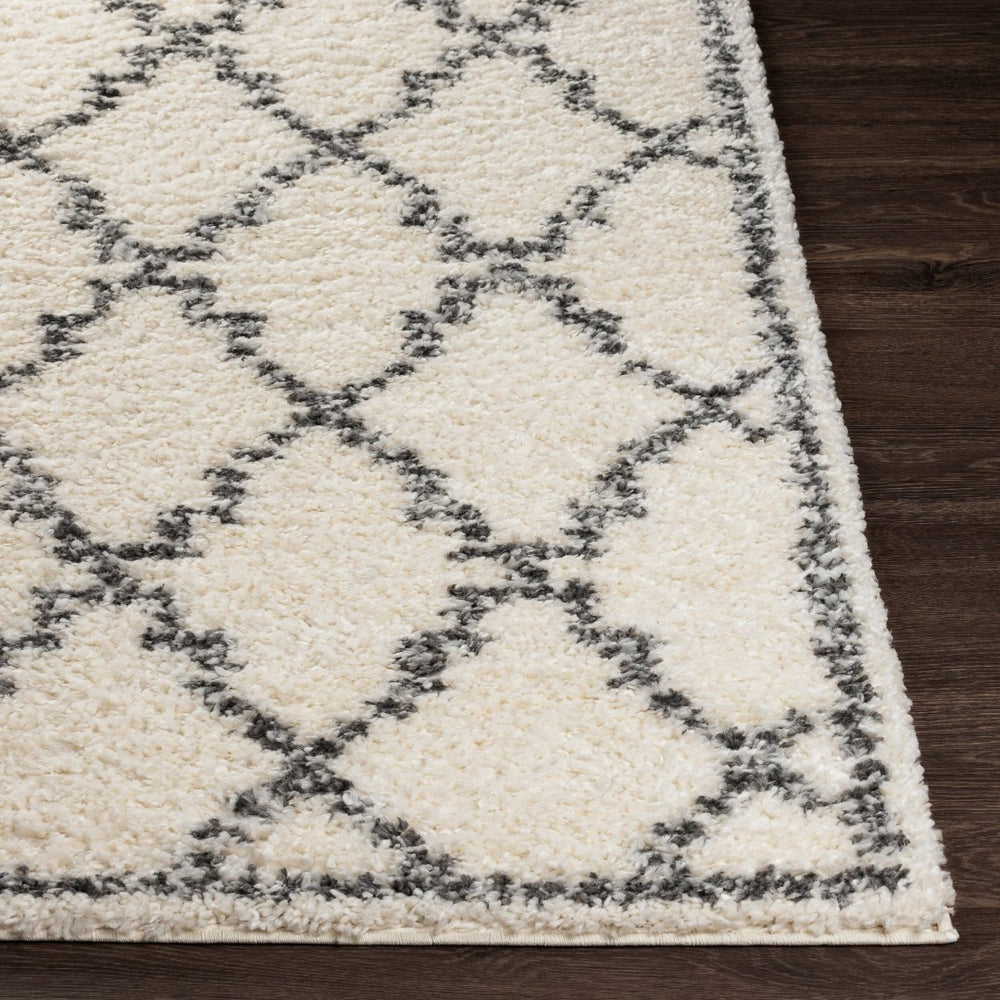 Livabliss Deluxe Shag Plush High-pile Polypropylene Accent Rug for Cozy Cottage Interiors DXS2306-23