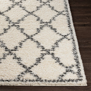 Livabliss Deluxe Shag Plush High-pile Polypropylene Accent Rug for Cozy Cottage Interiors DXS2306-23