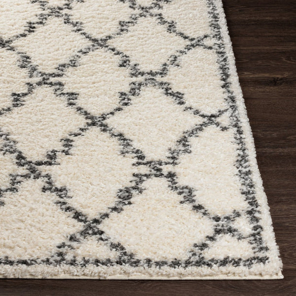 Livabliss Deluxe Shag Plush High-pile Polypropylene Accent Rug for Cozy Cottage Interiors DXS2306-23