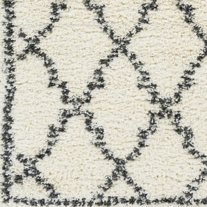 Livabliss Deluxe Shag Plush High-pile Polypropylene Accent Rug for Cozy Cottage Interiors DXS2306-23
