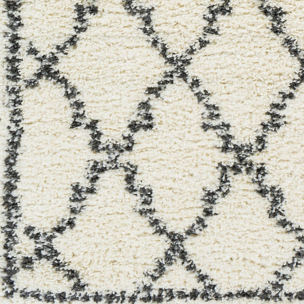 Livabliss Deluxe Shag Plush High-pile Polypropylene Accent Rug for Cozy Cottage Interiors DXS2306-23