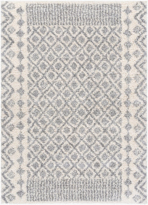 Livabliss Deluxe Plush Shag Rug Machine Woven Polypropylene Global Eclectic Accent Piece DXS2308-23