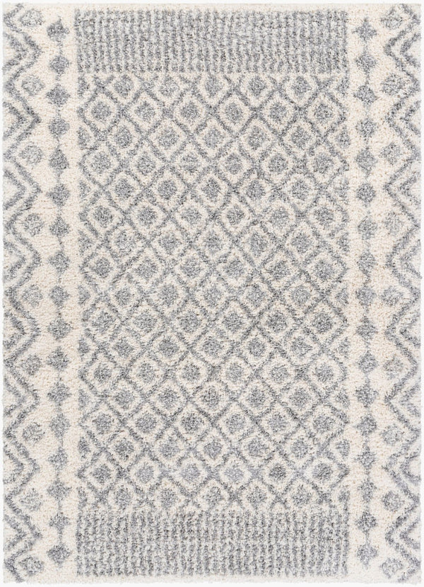 Livabliss Deluxe Plush Shag Rug Machine Woven Polypropylene Global Eclectic Accent Piece DXS2308-23