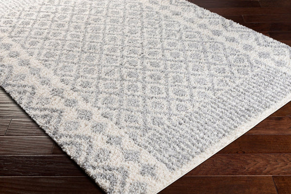 Livabliss Deluxe Plush Shag Rug Machine Woven Polypropylene Global Eclectic Accent Piece DXS2308-23
