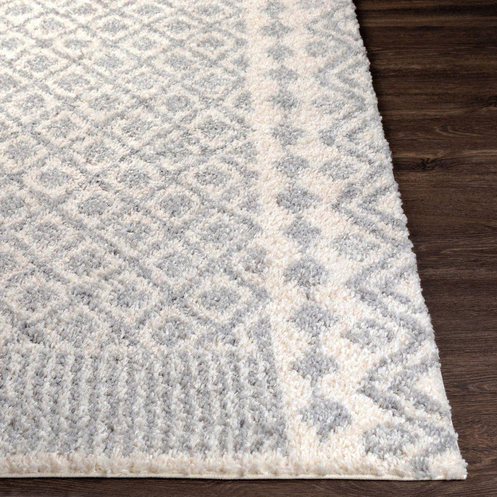 Livabliss Deluxe Plush Shag Rug Machine Woven Polypropylene Global Eclectic Accent Piece DXS2308-23