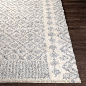 Livabliss Deluxe Plush Shag Rug Machine Woven Polypropylene Global Eclectic Accent Piece DXS2308-23