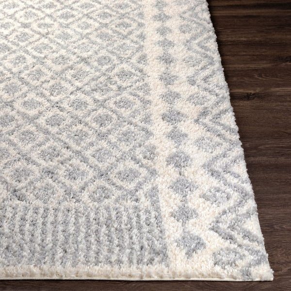 Livabliss Deluxe Plush Shag Rug Machine Woven Polypropylene Global Eclectic Accent Piece DXS2308-23