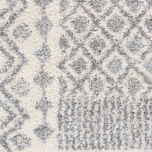 Livabliss Deluxe Plush Shag Rug Machine Woven Polypropylene Global Eclectic Accent Piece DXS2308-23