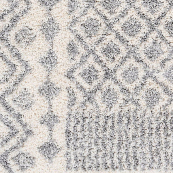 Livabliss Deluxe Plush Shag Rug Machine Woven Polypropylene Global Eclectic Accent Piece DXS2308-23