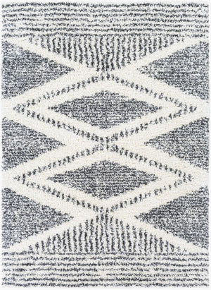 Livabliss Deluxe Shag Plush Polypropylene Area Rug for Entryways Bohemian Eclectic Decor Cream, Charcoal 5'3" x 7'3" DXS2309-5373