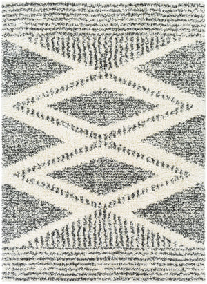 Deluxe Shag DXS-2309 6'7" x 9' Machine Woven Rug DXS2309-6796 Livabliss Surya