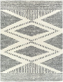 Deluxe Shag DXS-2309 7'10" x 10'2" Machine Woven Rug DXS2309-710103 Livabliss Surya