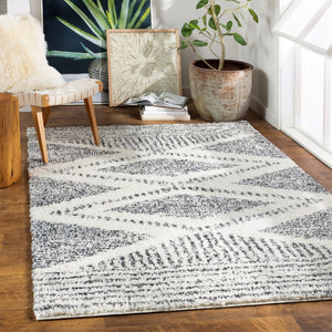 Livabliss Deluxe Shag Plush Polypropylene Area Rug for Entryways Bohemian Eclectic Decor Cream, Charcoal 7'10" x 10'2" DXS2309-710103