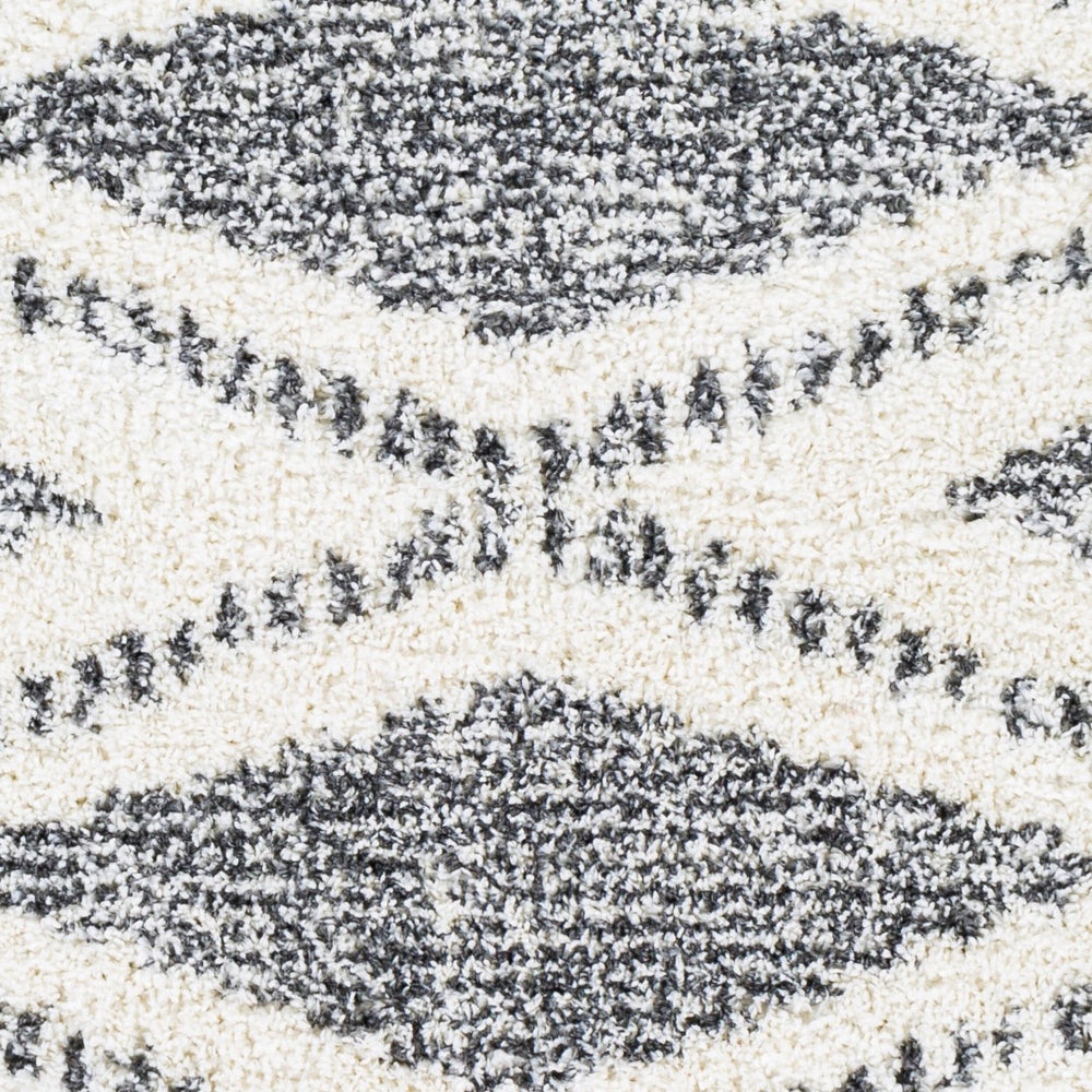 Livabliss Deluxe Shag Plush Polypropylene Area Rug for Entryways Bohemian Eclectic Decor Cream, Charcoal 5'3" x 7'3" DXS2309-5373