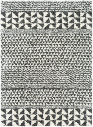 Livabliss Deluxe Shag Plush Polypropylene Area Rug Global Eclectic Pattern for Entryways and Bedrooms DXS2310-23