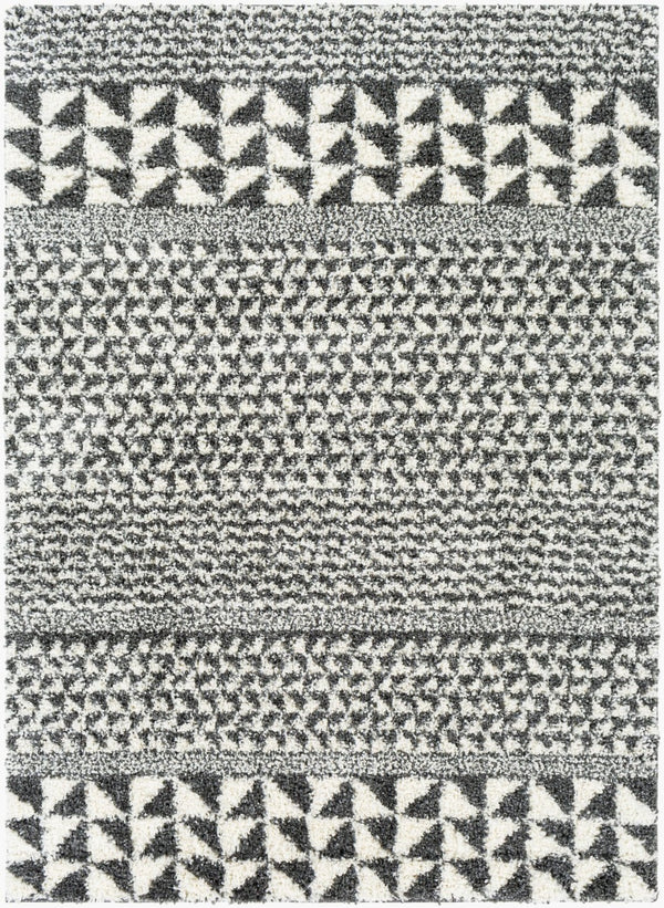 Livabliss Deluxe Shag Plush Polypropylene Area Rug Global Eclectic Pattern for Entryways and Bedrooms DXS2310-23