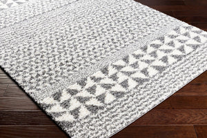 Livabliss Deluxe Shag Plush Polypropylene Area Rug Global Eclectic Pattern for Entryways and Bedrooms DXS2310-23