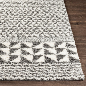 Livabliss Deluxe Shag Plush Polypropylene Area Rug Global Eclectic Pattern for Entryways and Bedrooms DXS2310-23