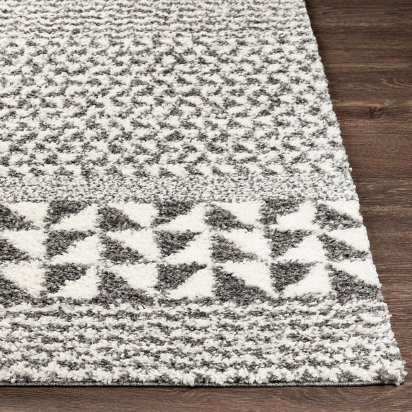 Livabliss Deluxe Shag Plush Polypropylene Area Rug Global Eclectic Pattern for Entryways and Bedrooms DXS2310-23