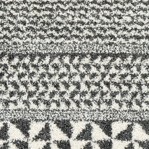 Livabliss Deluxe Shag Plush Polypropylene Area Rug Global Eclectic Pattern for Entryways and Bedrooms DXS2310-23