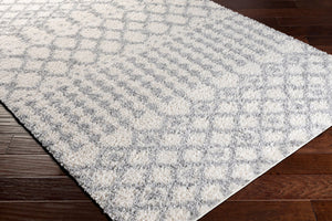Livabliss Deluxe Shag Polypropylene Area Rug Modern Global Pattern Plush Pile Living Room White, Medium G 6'7" x 9' DXS2312-6796