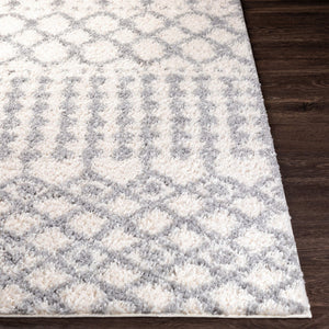 Livabliss Deluxe Shag Polypropylene Area Rug Modern Global Pattern Plush Pile Living Room White, Medium G 6'7" x 9' DXS2312-6796