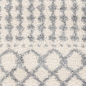 Livabliss Deluxe Shag Polypropylene Area Rug Modern Global Pattern Plush Pile Living Room White, Medium G 6'7" x 9' DXS2312-6796
