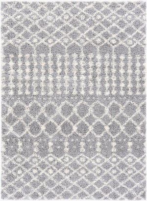Livabliss Deluxe Shag Polypropylene Rug with Moroccan Pattern Soft Pile Entryway Accent DXS2313-23