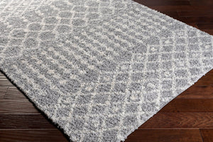 Livabliss Deluxe Shag Polypropylene Rug with Moroccan Pattern Soft Pile Entryway Accent DXS2313-23