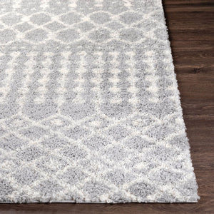 Livabliss Deluxe Shag Polypropylene Rug with Moroccan Pattern Soft Pile Entryway Accent DXS2313-23
